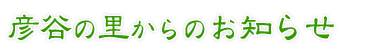 ContentHeading