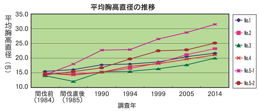 平均胸高直径の推移