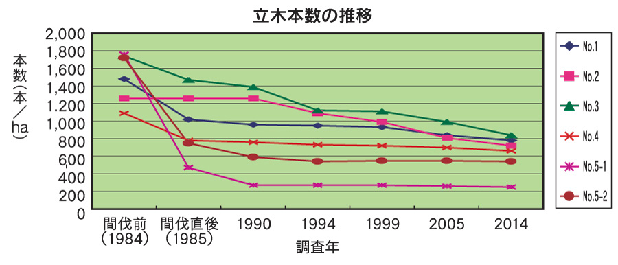 立木本数の推移